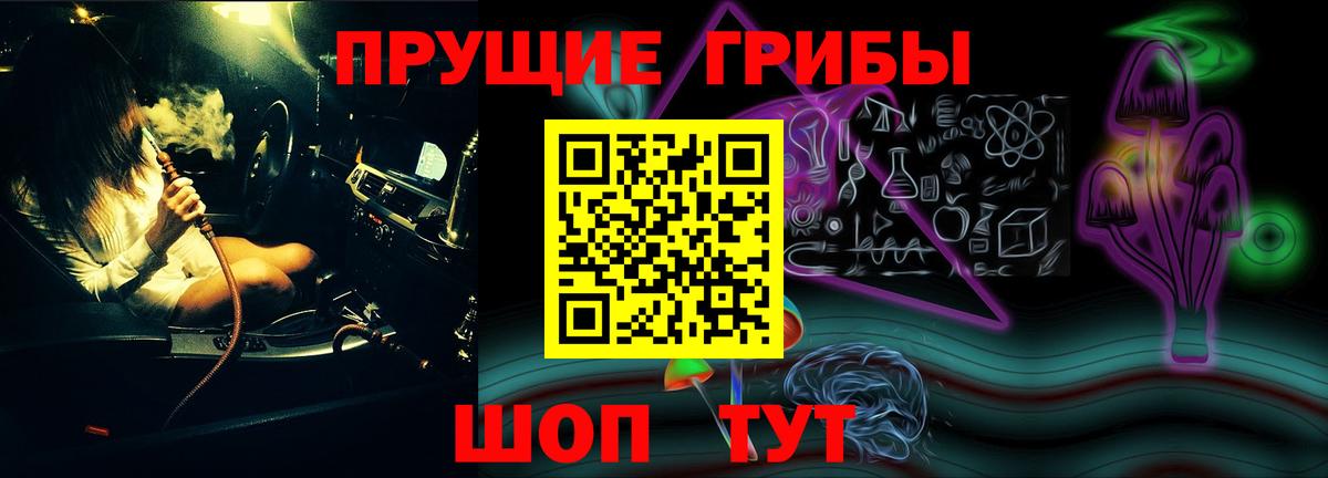 где продают наркотики  Псилоцибиновые грибы MAGIC MUSHROOMS  Галлюциногенные грибы Magic Shrooms  Вход с VPN  Камышин 